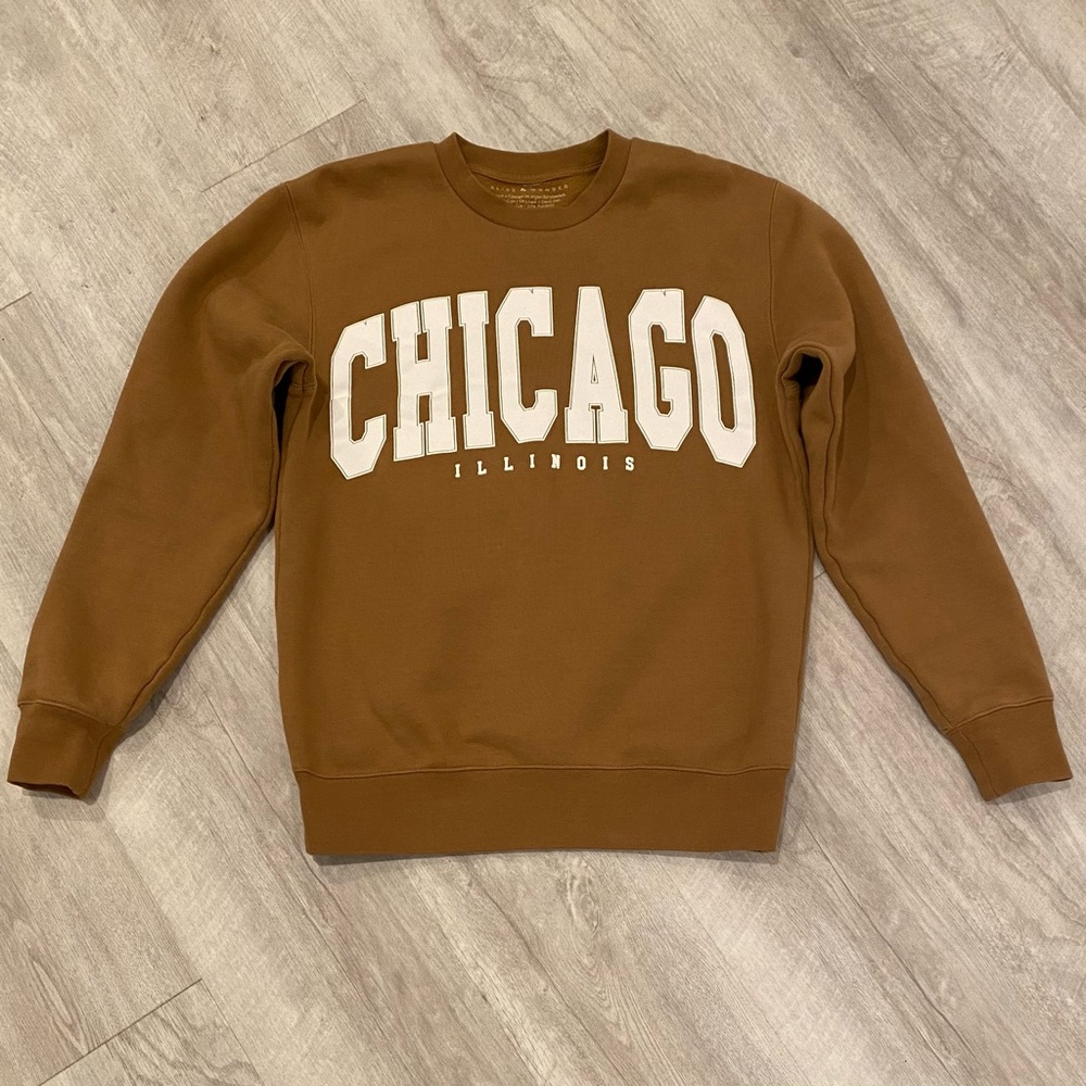 LAST CHANCE - DONATING! EUC Alice and Wonder CHICAGO Collegiate Sweatshirt